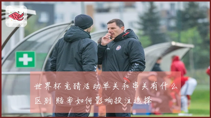 世界杯竞猜活动单关和串关有什么区别 赔率如何影响投注选择