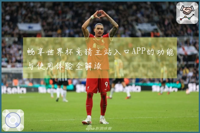 畅享世界杯竞猜主站入口APP的功能与使用体验全解读