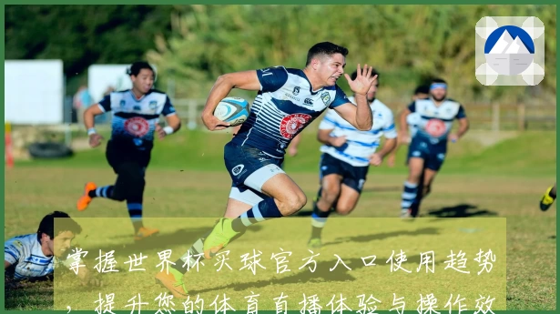 掌握世界杯买球官方入口使用趋势，提升您的体育直播体验与操作效率