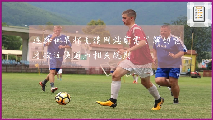 选择世界杯竞猜网站前需了解的官方投注渠道和相关规则