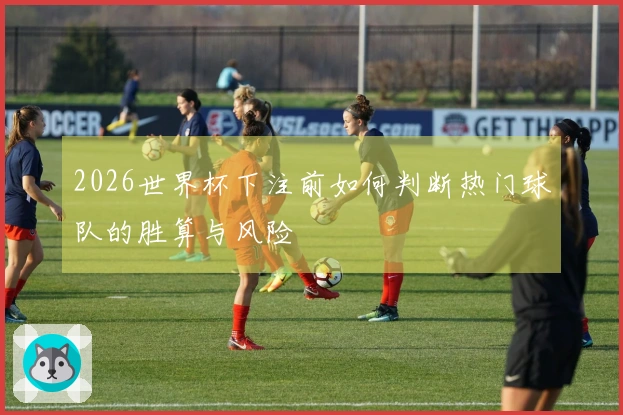 2026世界杯下注前如何判断热门球队的胜算与风险