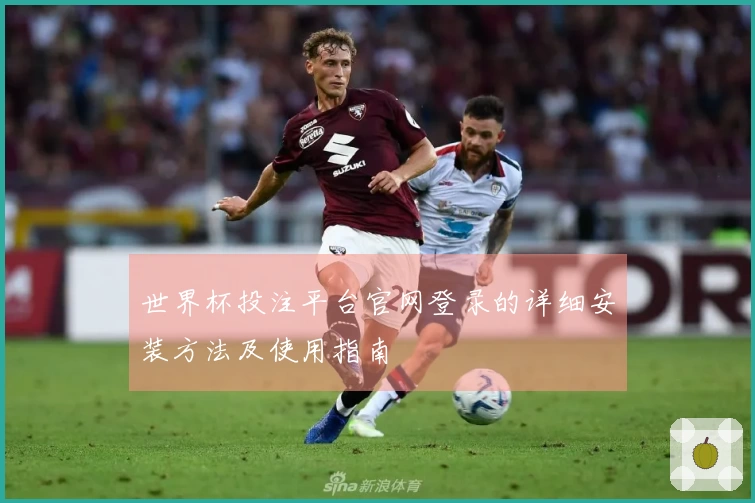 世界杯投注平台官网登录的详细安装方法及使用指南