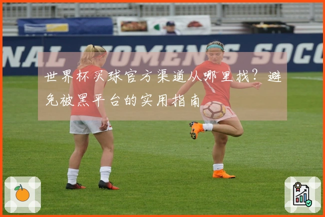 世界杯买球官方渠道从哪里找？避免被黑平台的实用指南