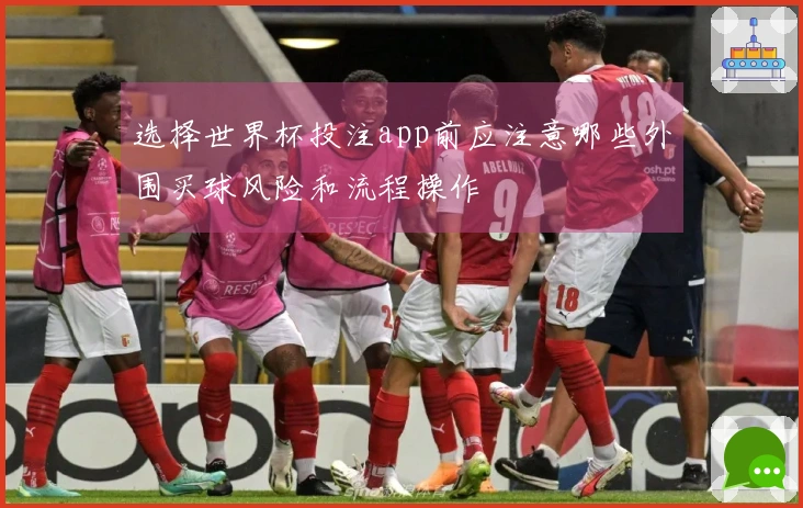 选择世界杯投注app前应注意哪些外围买球风险和流程操作