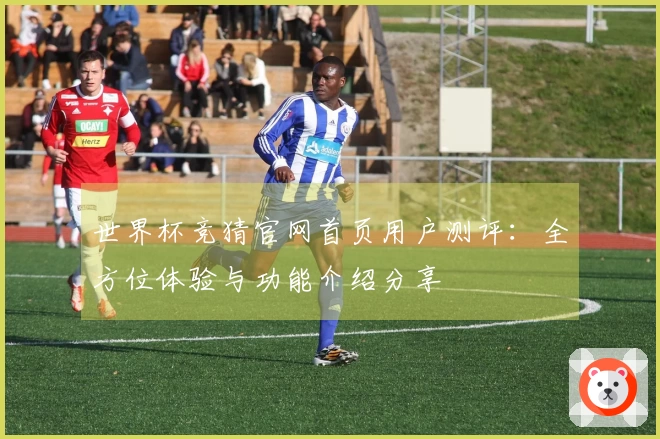 世界杯竞猜官网首页用户测评：全方位体验与功能介绍分享