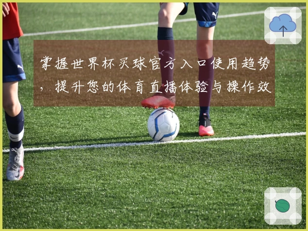 掌握世界杯买球官方入口使用趋势，提升您的体育直播体验与操作效率