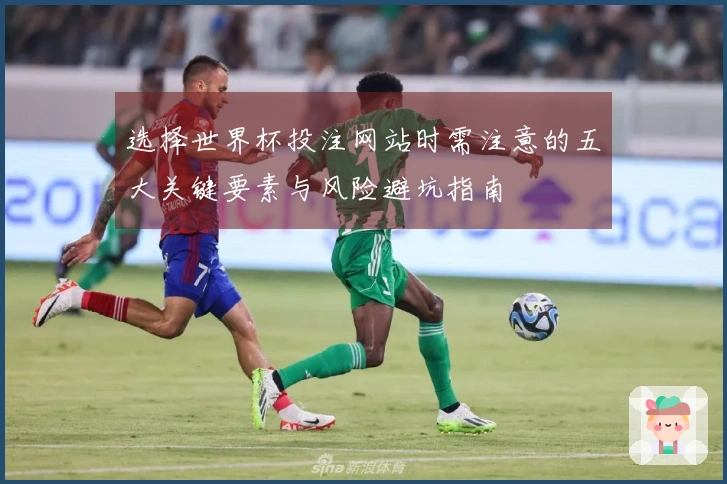选择世界杯投注网站时需注意的五大关键要素与风险避坑指南