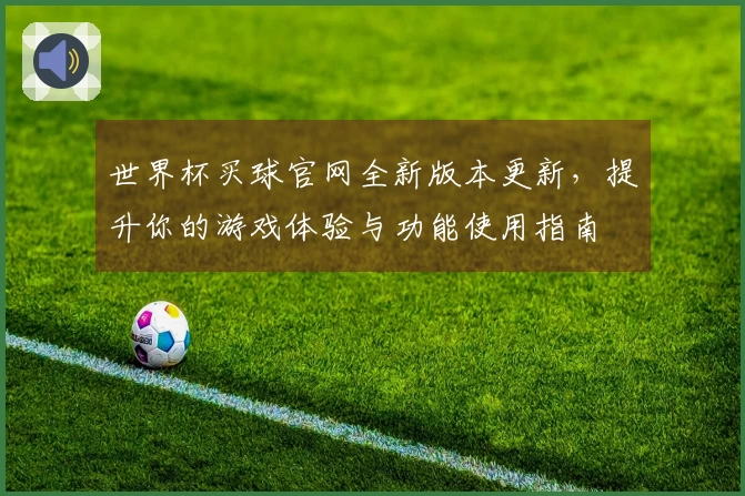 世界杯买球官网全新版本更新，提升你的游戏体验与功能使用指南