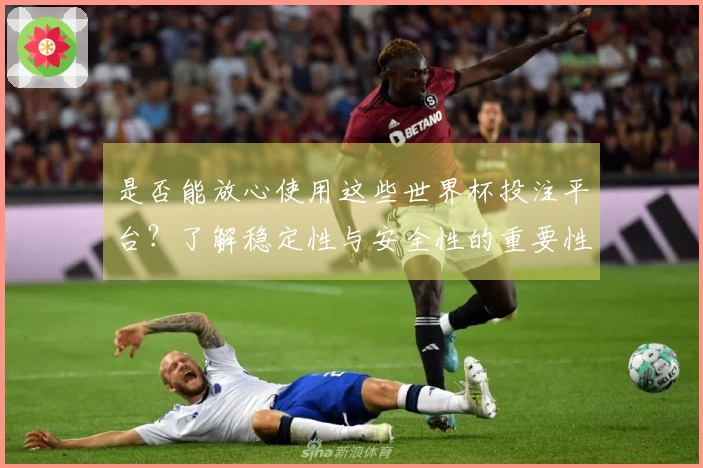 是否能放心使用这些世界杯投注平台?了解稳定性与安全性的重要性
