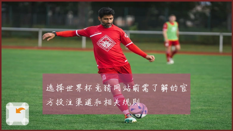 选择世界杯竞猜网站前需了解的官方投注渠道和相关规则