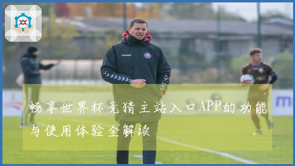 畅享世界杯竞猜主站入口APP的功能与使用体验全解读