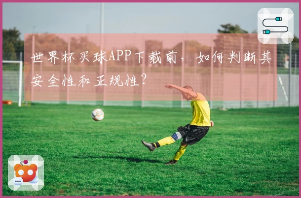 世界杯买球APP下载前，如何判断其安全性和正规性？