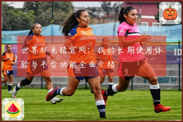 世界杯竞猜官网：我的长期使用体验与平台功能全面介绍