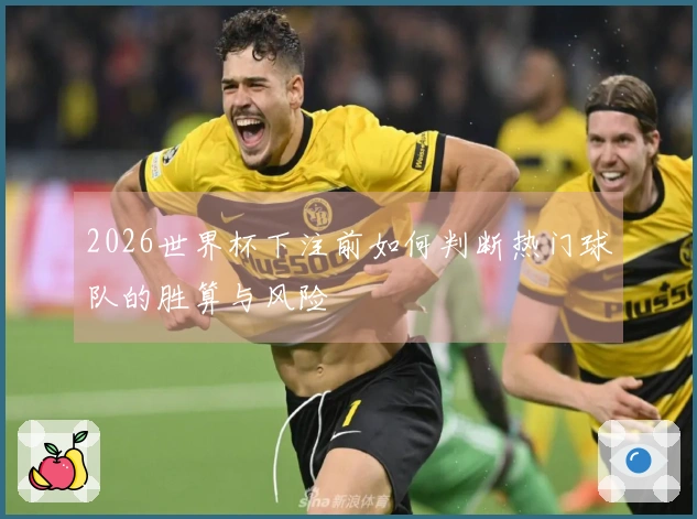 2026世界杯下注前如何判断热门球队的胜算与风险